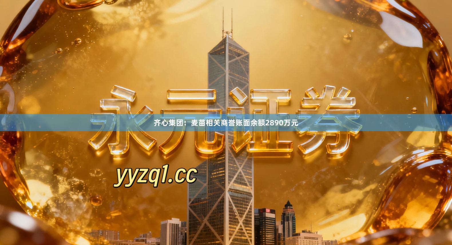齐心集团：麦苗相关商誉账面余额2890万元